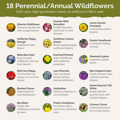 List of flower species and seeds included in the Wildflower Seed Mix.