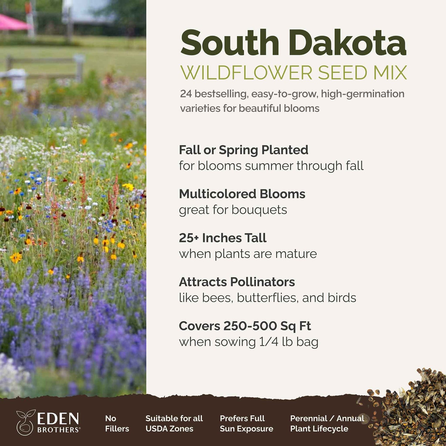 A visual overview of the wildflower seed mix, showcasing expected floral blooms.