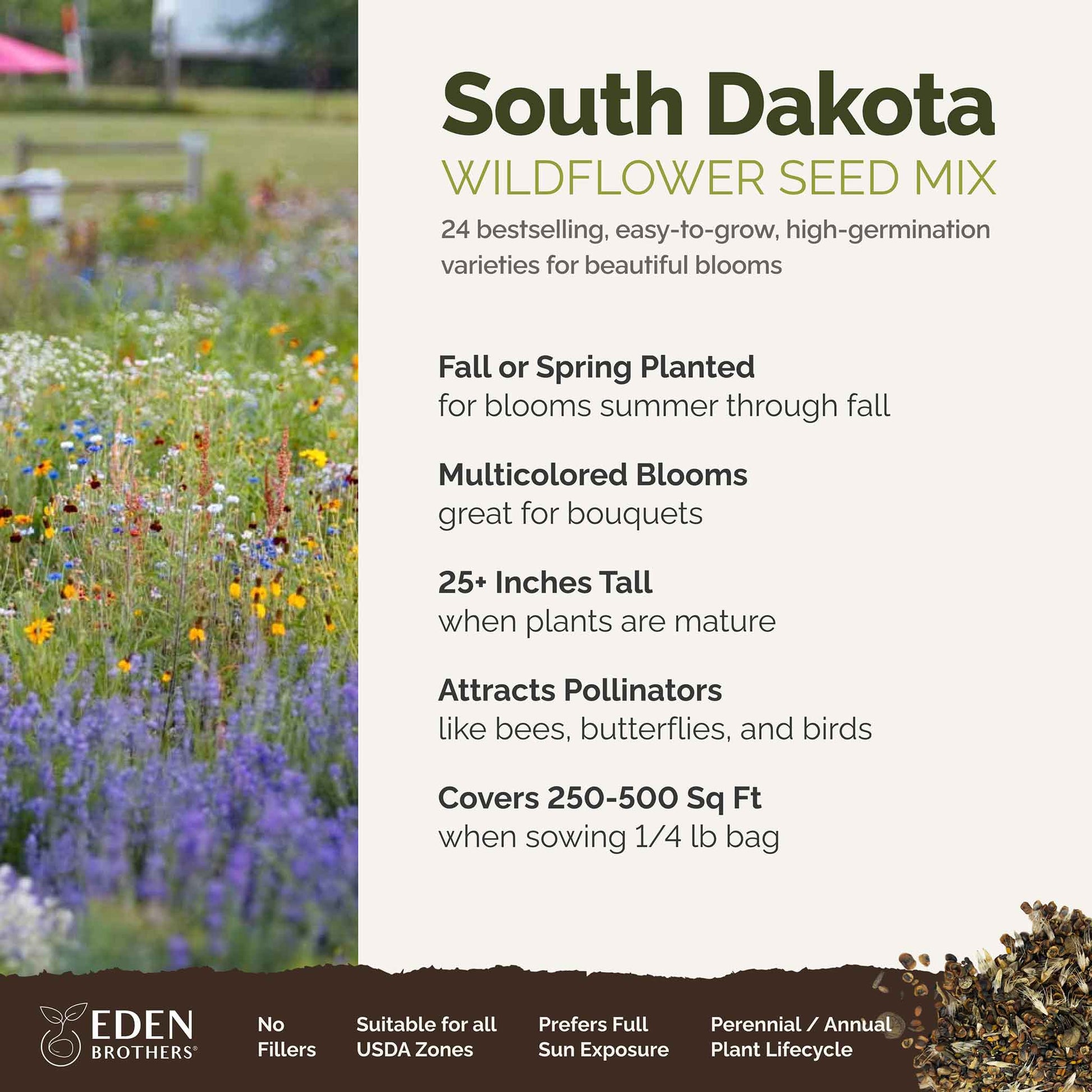 A visual overview of the wildflower seed mix, showcasing expected floral blooms.