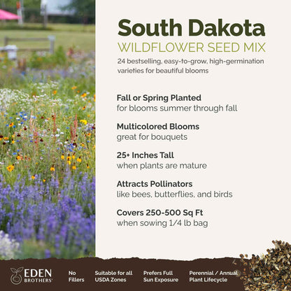 A visual overview of the wildflower seed mix, showcasing expected floral blooms.