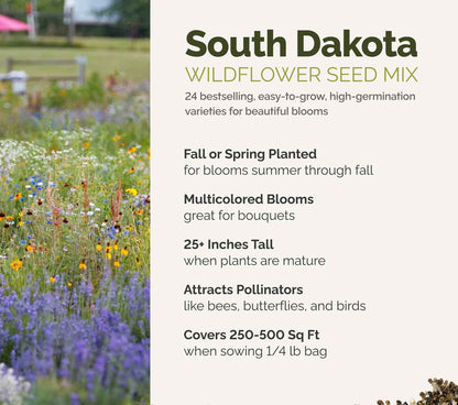 A visual overview of the wildflower seed mix, showcasing expected floral blooms.