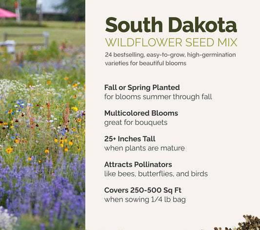 A visual overview of the wildflower seed mix, showcasing expected floral blooms.