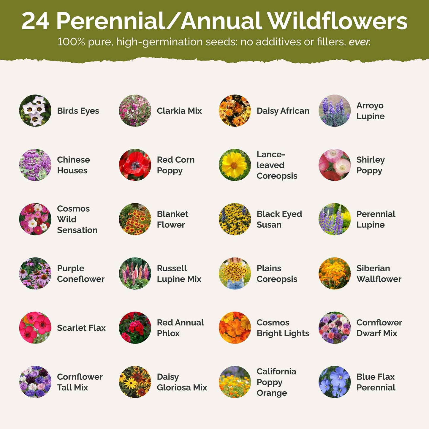 List of flower species and seeds included in the Wildflower Seed Mix.