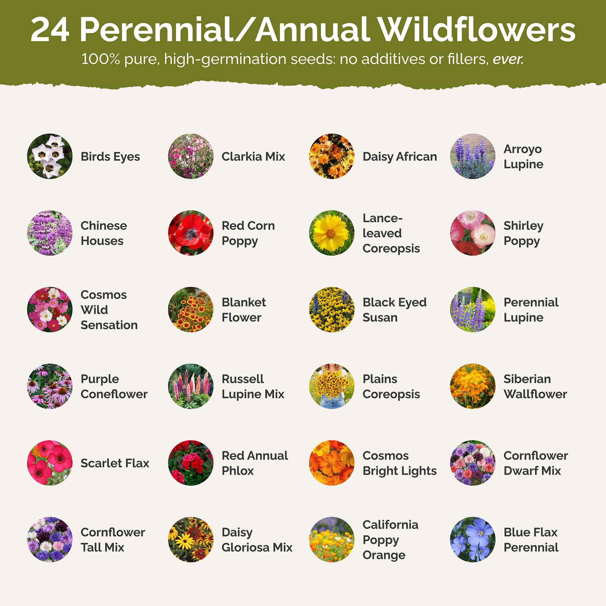 List of flower species and seeds included in the Wildflower Seed Mix.