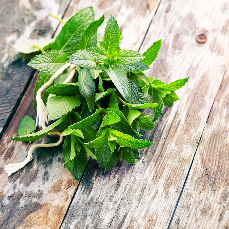 Bundle of spearmint leaves piled together on a wooden table.