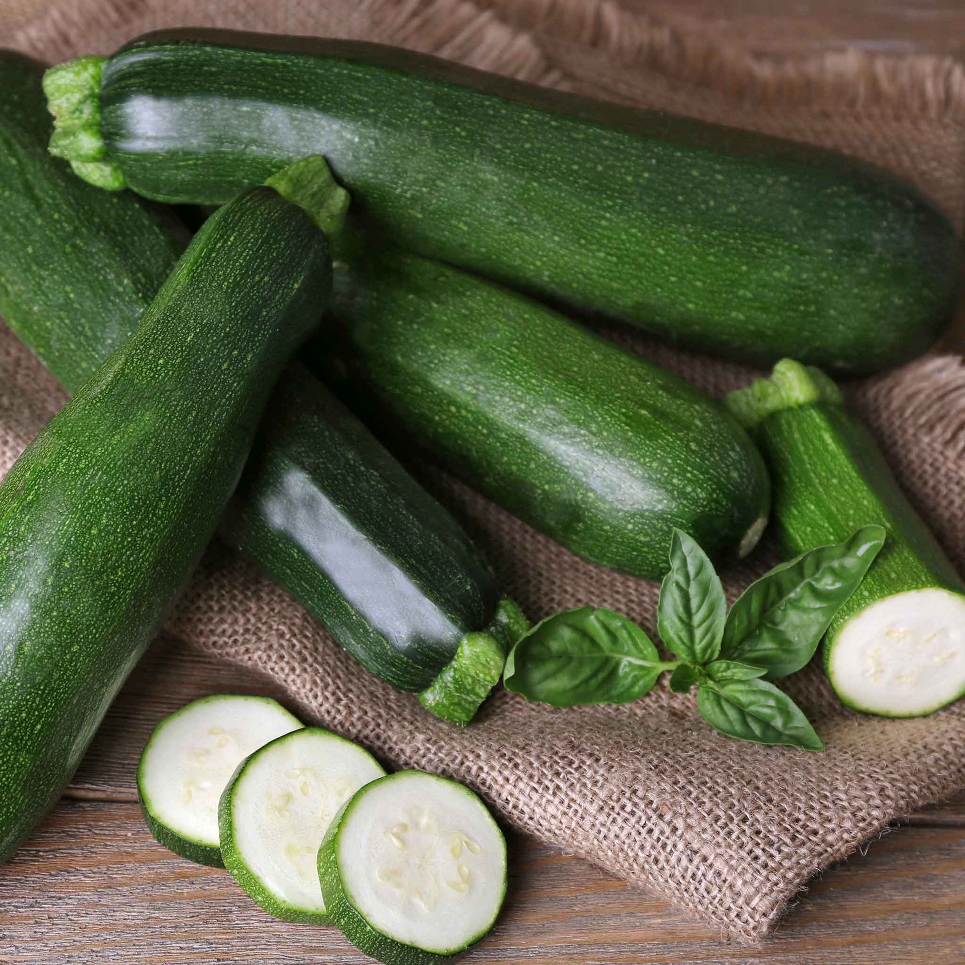 A close-up shot of a Black Beauty squash, showcasing its glossy dark green skin and slender shape.