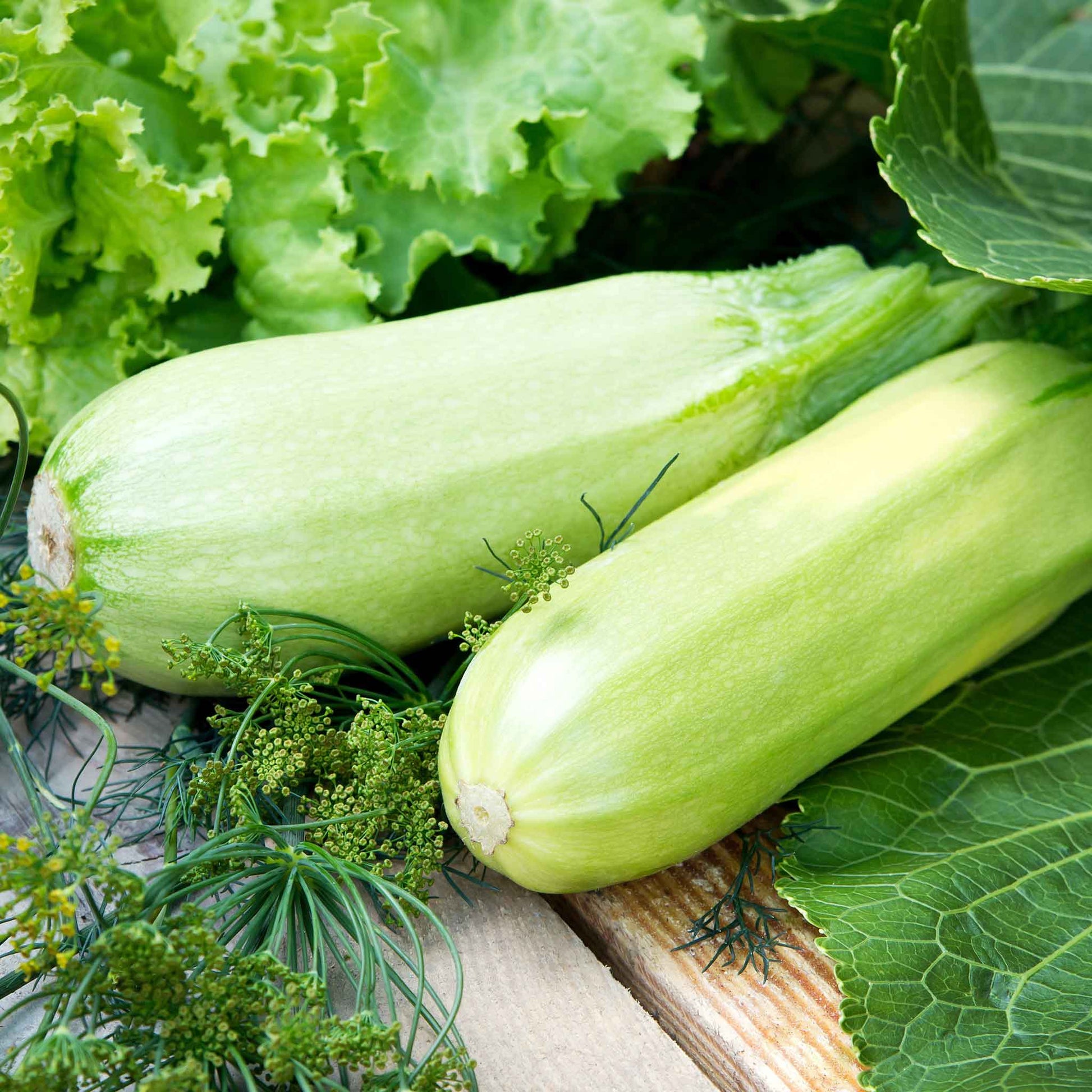 A Lungo Bianco Cylindrical squash with faint ridges, sitting on a wooden surface with a shallow depth of field.