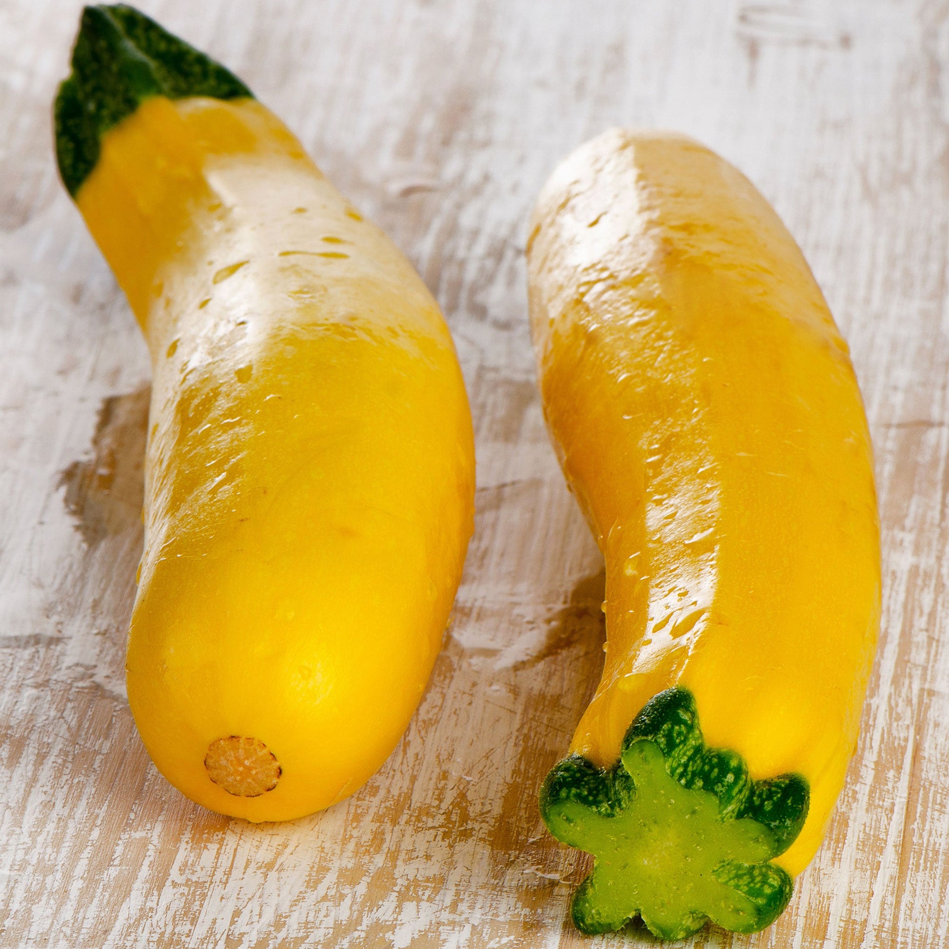 A shot of Early Prolific Straightneck squash showing their yelow skin and green stem.