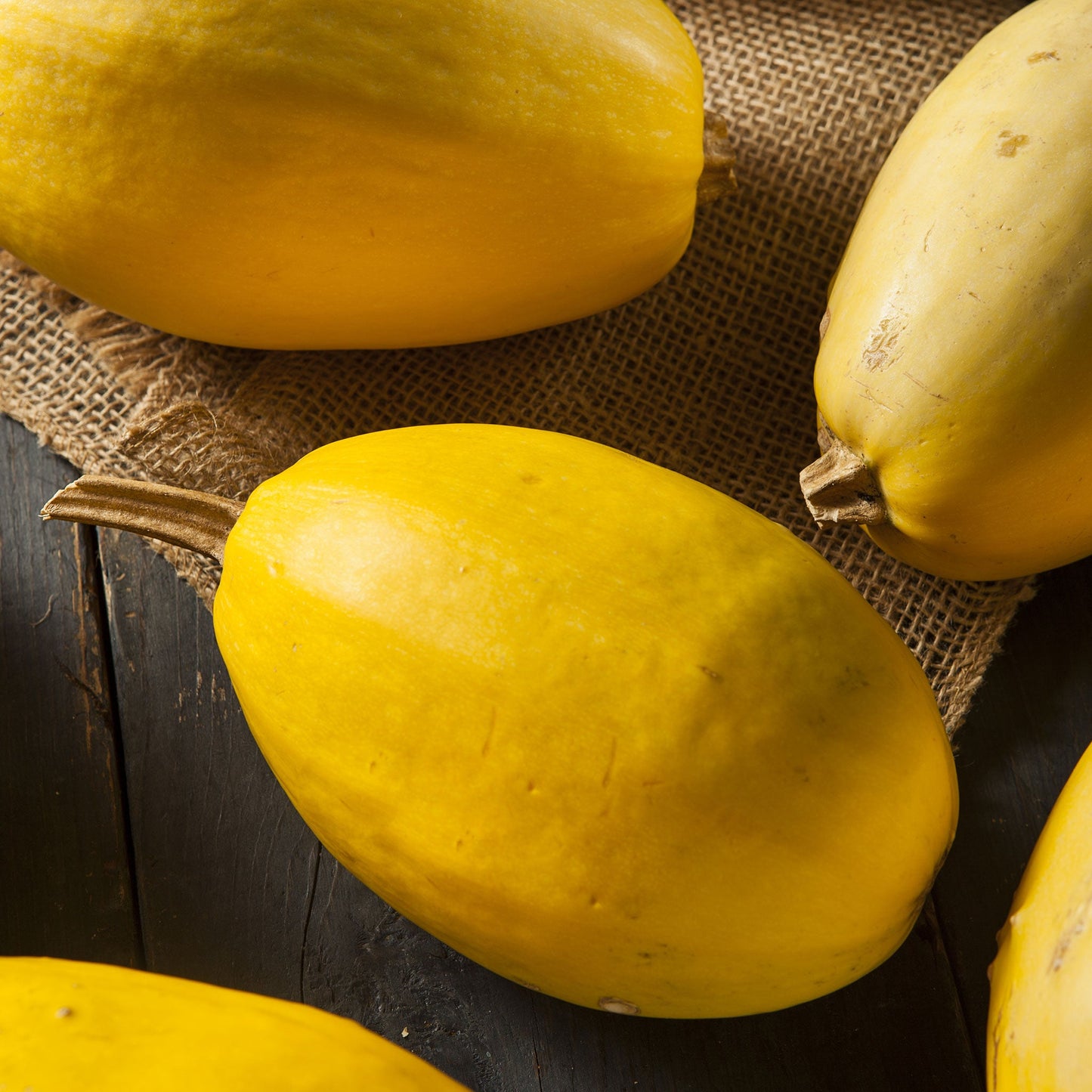 Oblong Vegetable Spaghetti squash showing yellow skin on a dark background.