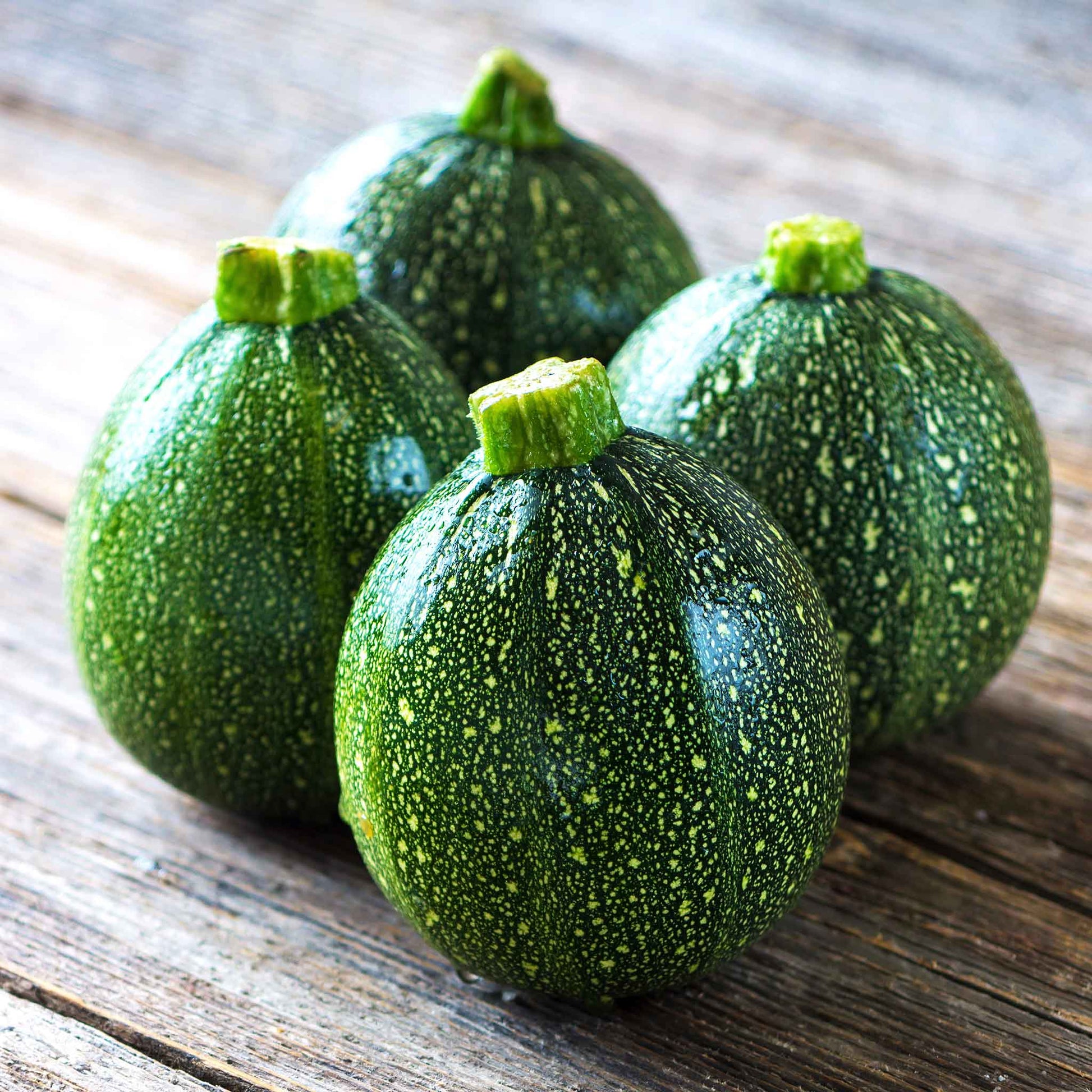Round Zucchini squash on wooden table showing round form and pale green stripes