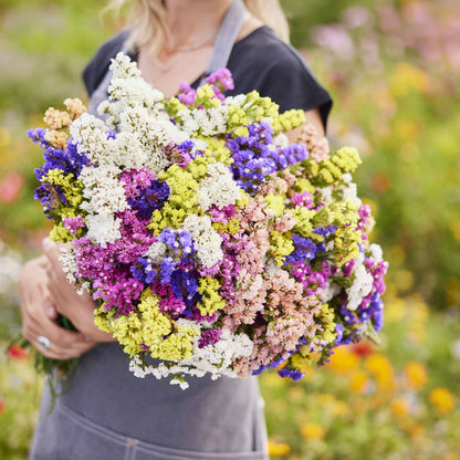 Statice pacific mix colorful mixed bouquet of purple, white and yellow with blurred background