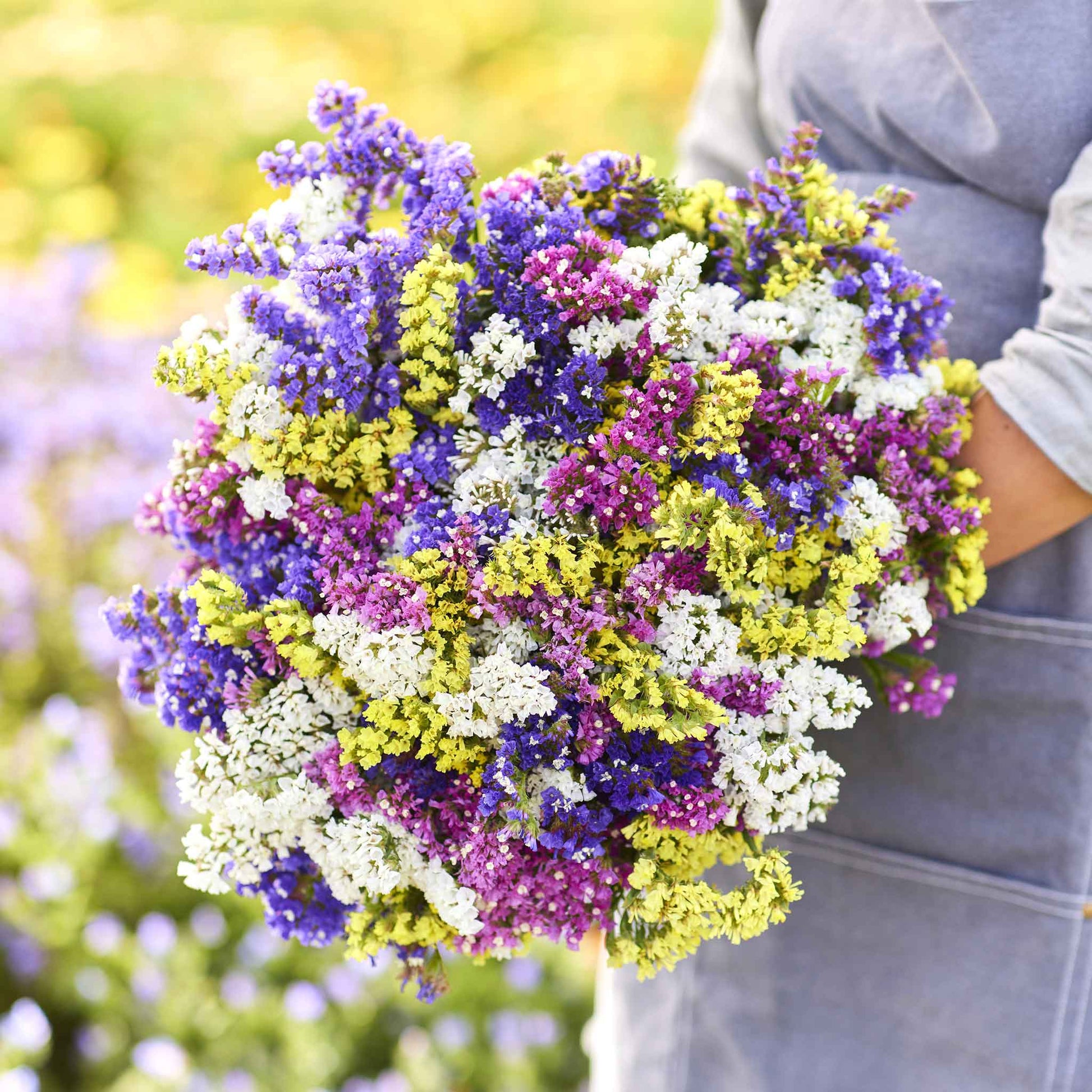 Statice pacific mix bouquet with purple, white and yellow blooms held against a blurred background