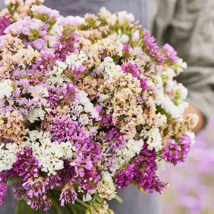 Statice pastel mix purple, pink and yellow bouquet held by person with blurred background