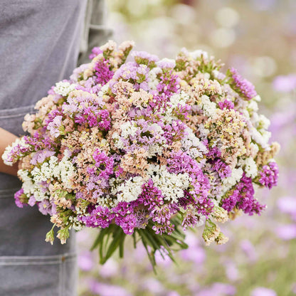 Statice pastel mix pink, purple and yellow bouquet held by person with blurred background