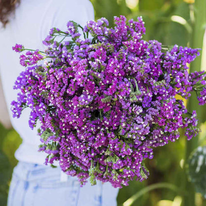 Statice twilight purple-blue bouquet held by a person against a green outdoor background