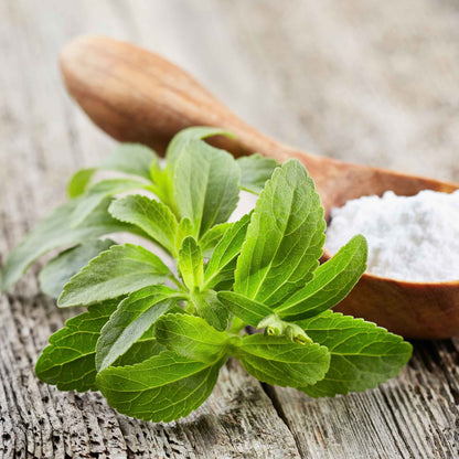 Close-up of a stevia plant with a wooden spoon of stevia powder.