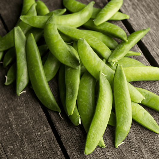 Sugar Snap Pea – vegetable seed variety