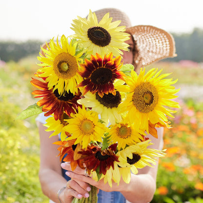 Mix of various formula mix sunflower seeds on a natural outdoor garden backdrop