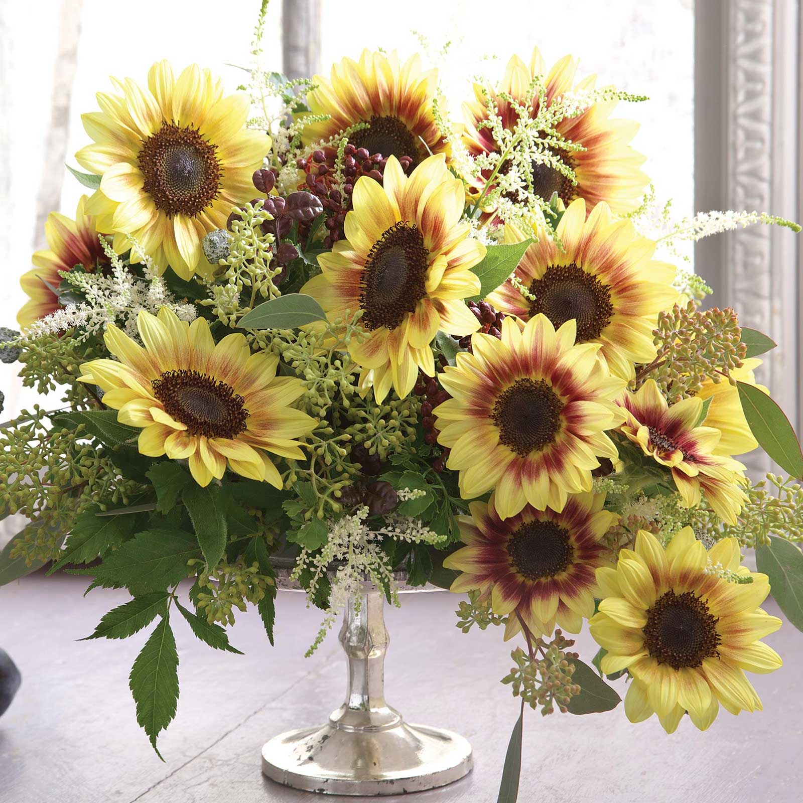 Bright marley sunflower bloom with vibrant yellow petals and dark center outdoors