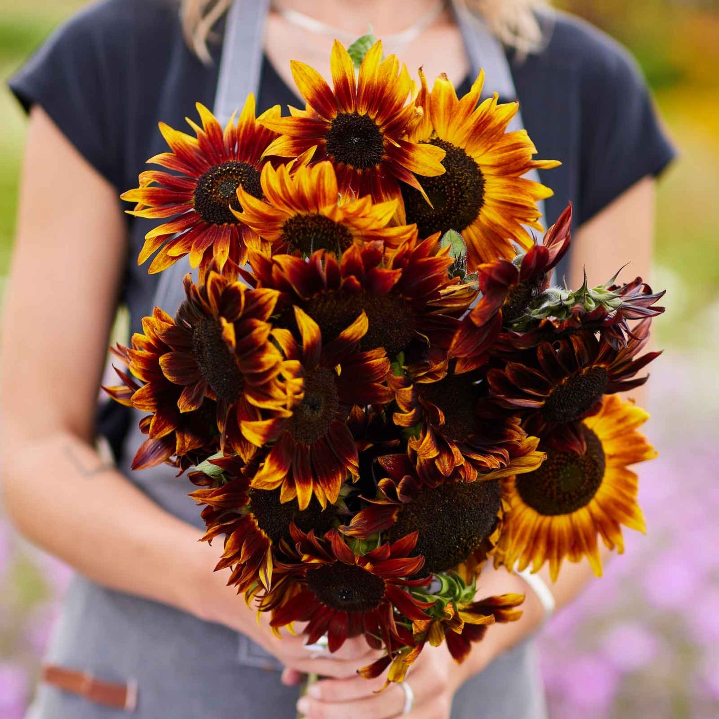 Deep red sun sunflower head with dark center held in front of a garden backdrop