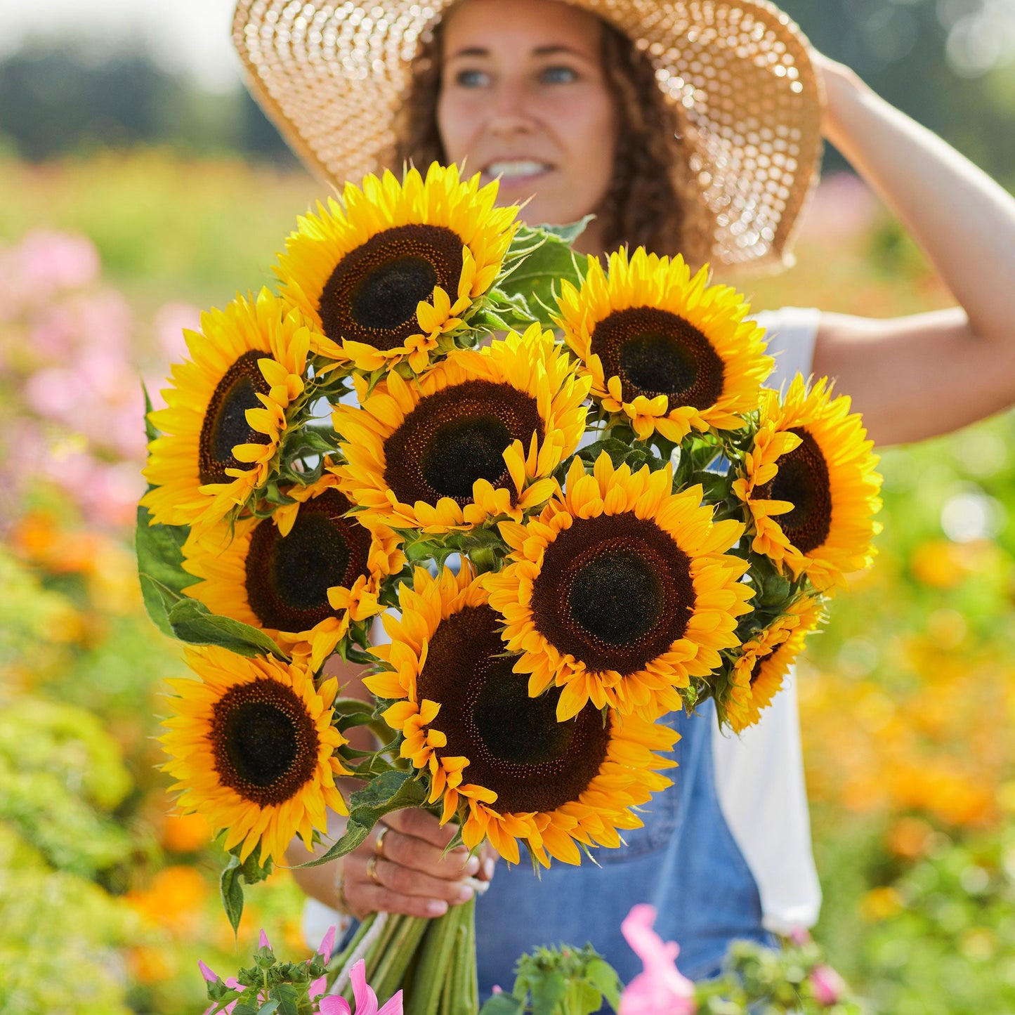 Bright yellow taiyo sunflower head with center seeds on a natural outdoor backdrop