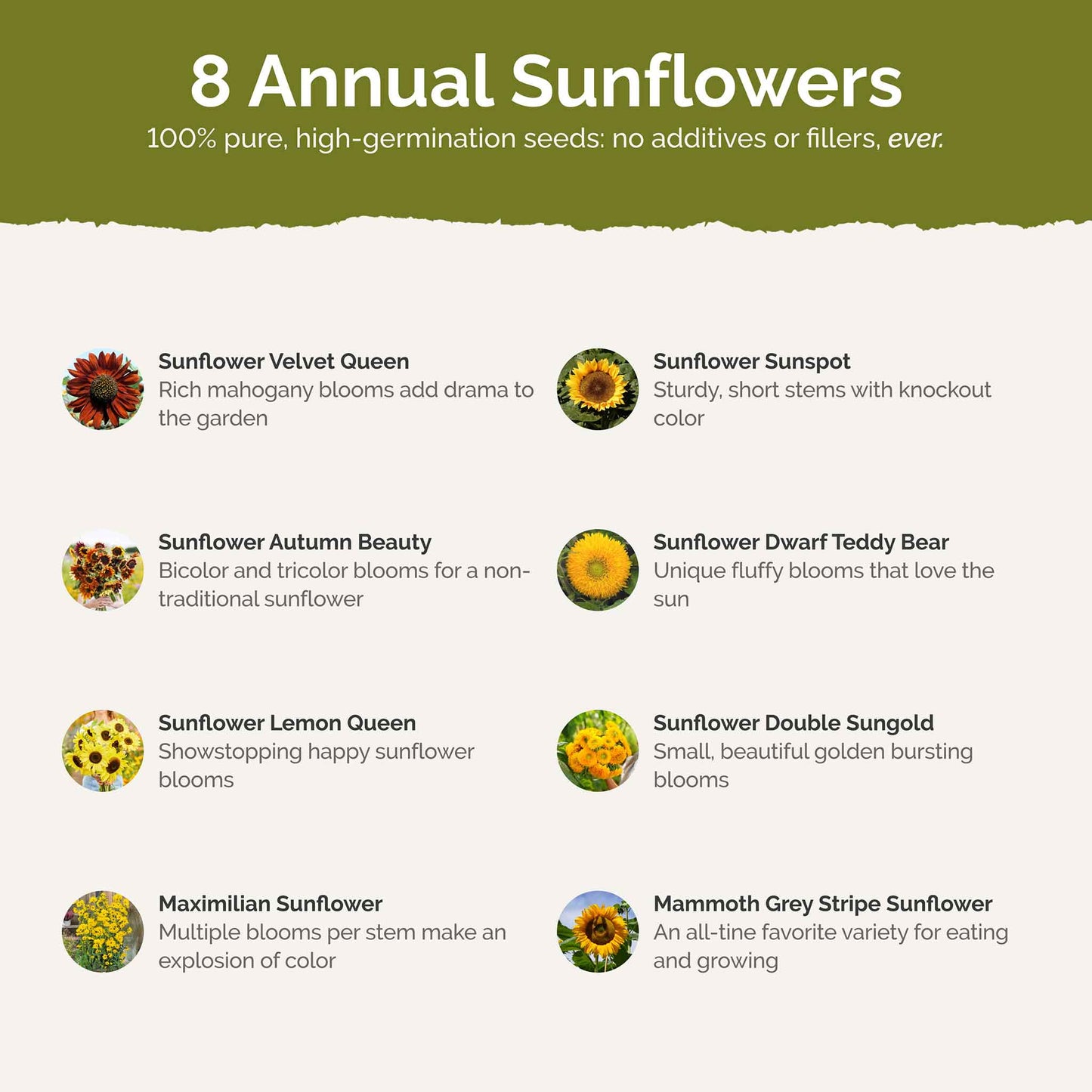 List of flower species and seeds included in the Wildflower Seed Mix.