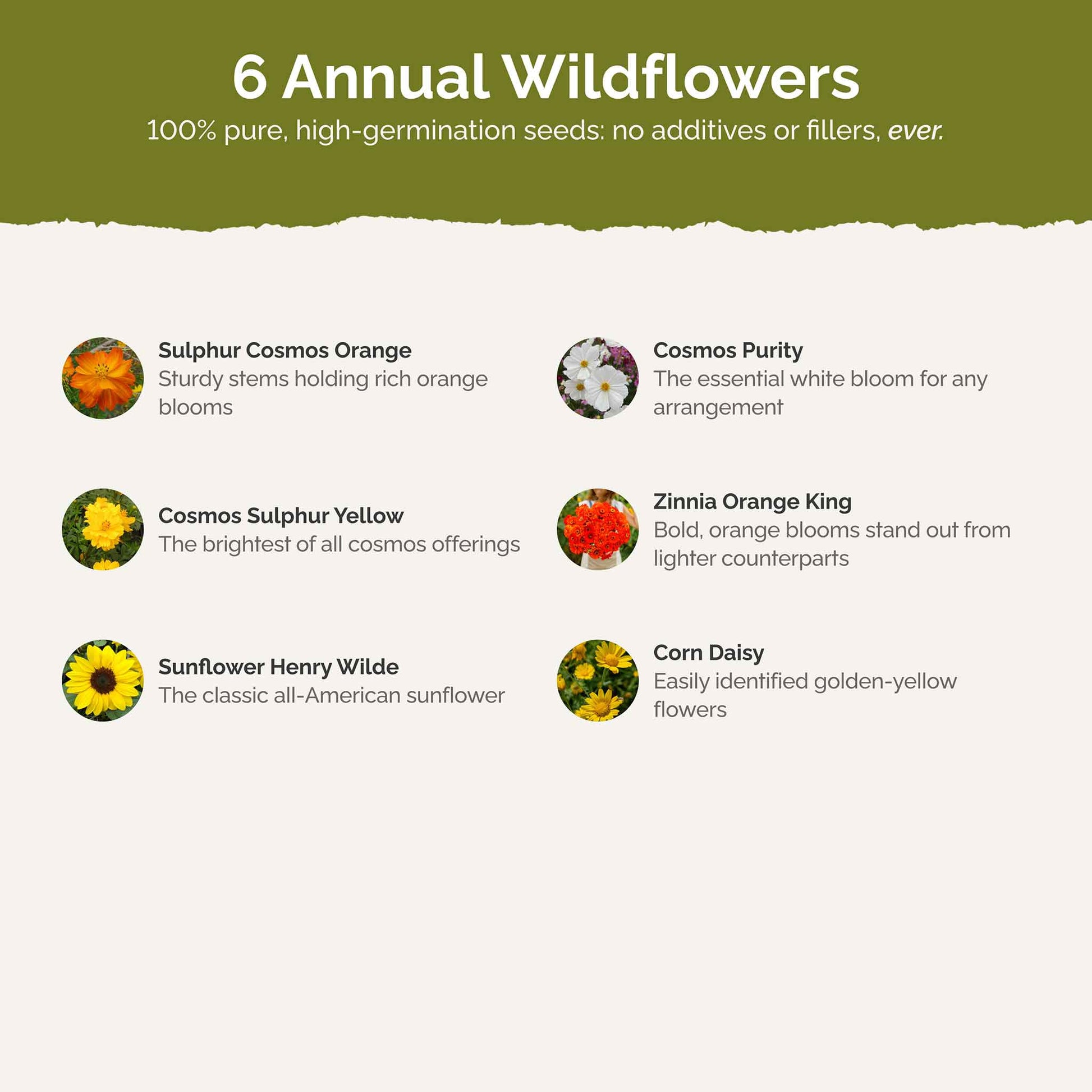 List of flower species and seeds included in the Wildflower Seed Mix.