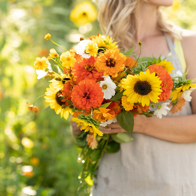 A bouquet of the variety of colors in the Sunset Mix - Orange, Yellow & White Flower Seed Mix
