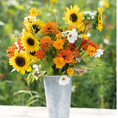 A bouquet of the variety of colors in the Sunset Mix - Orange, Yellow & White Flower Seed Mix