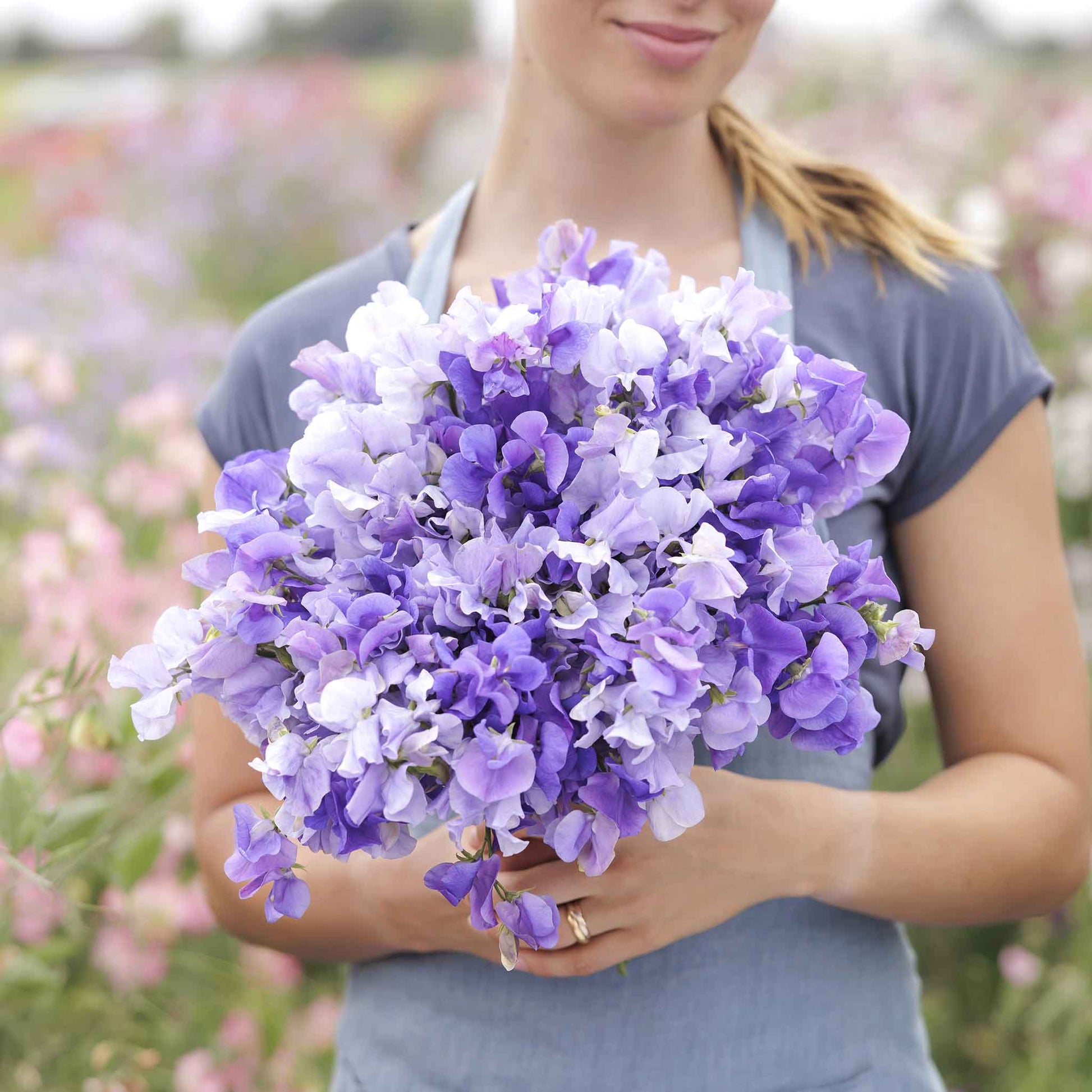 Sweet pea blue mix blue-purple flowers held by person against a blurred background
