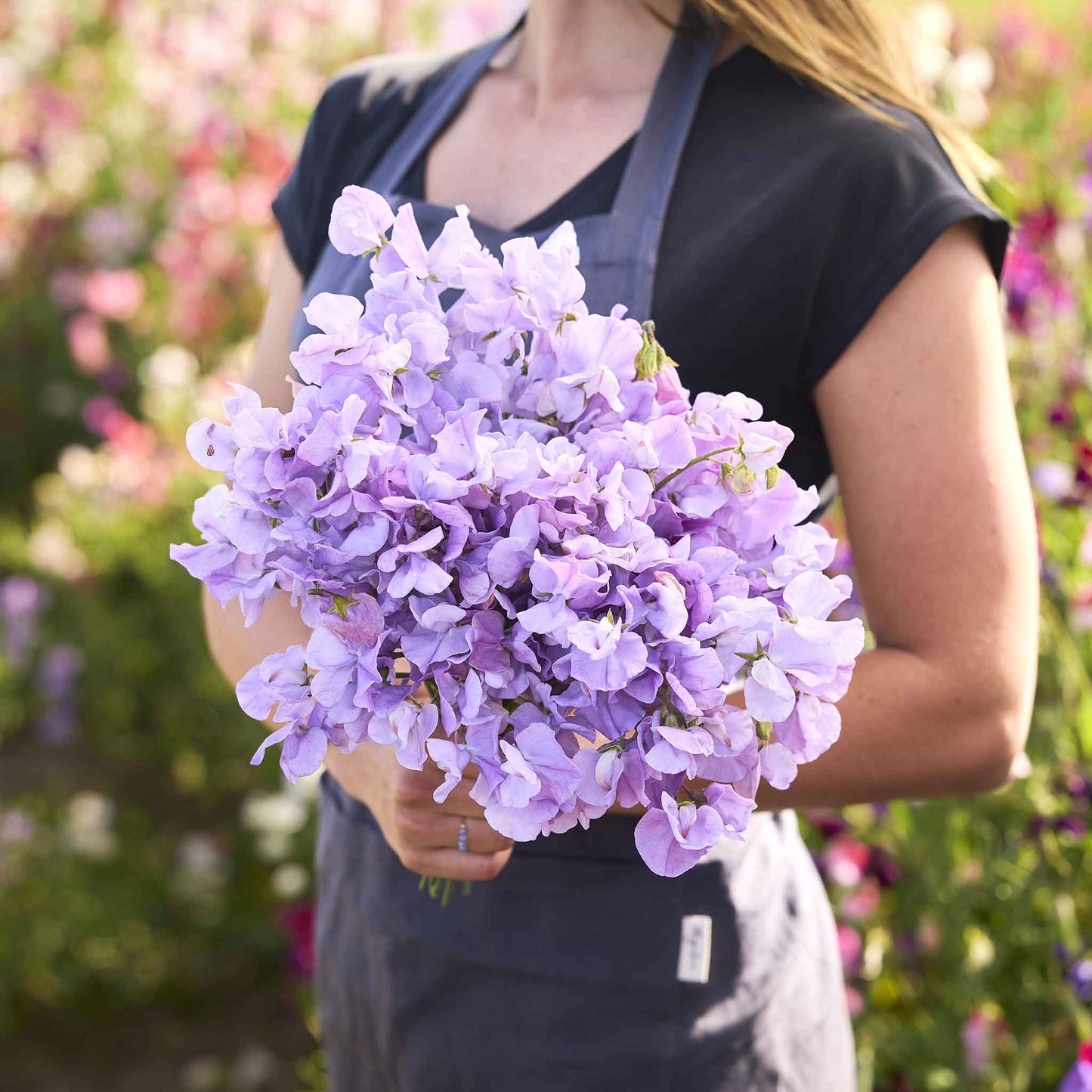 Sweet pea royal lavender purple bouquet held by person against a blurred background