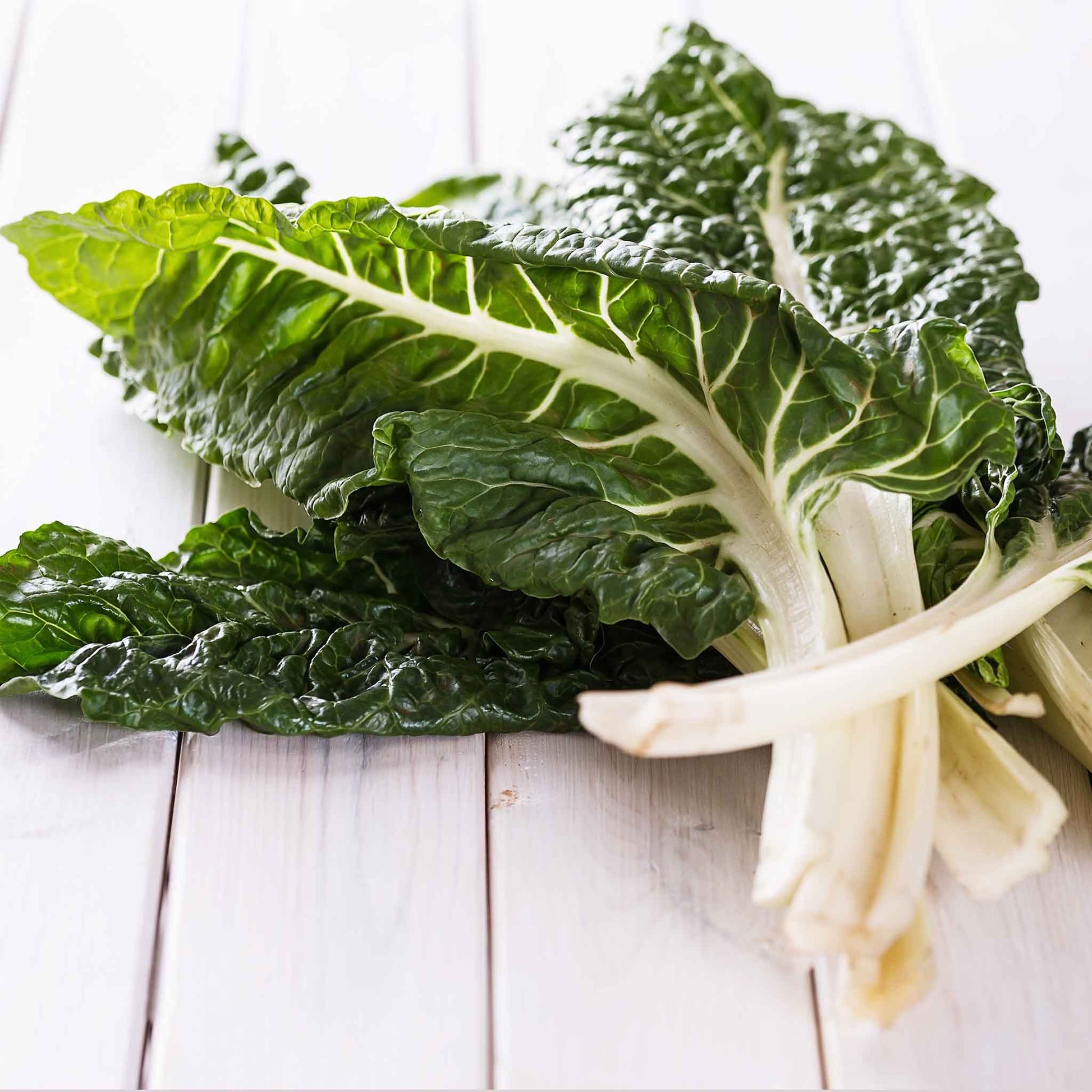 Close-up of vibrant green Fordhook Giant Swiss chard leaves with visible veins, filling the frame.
