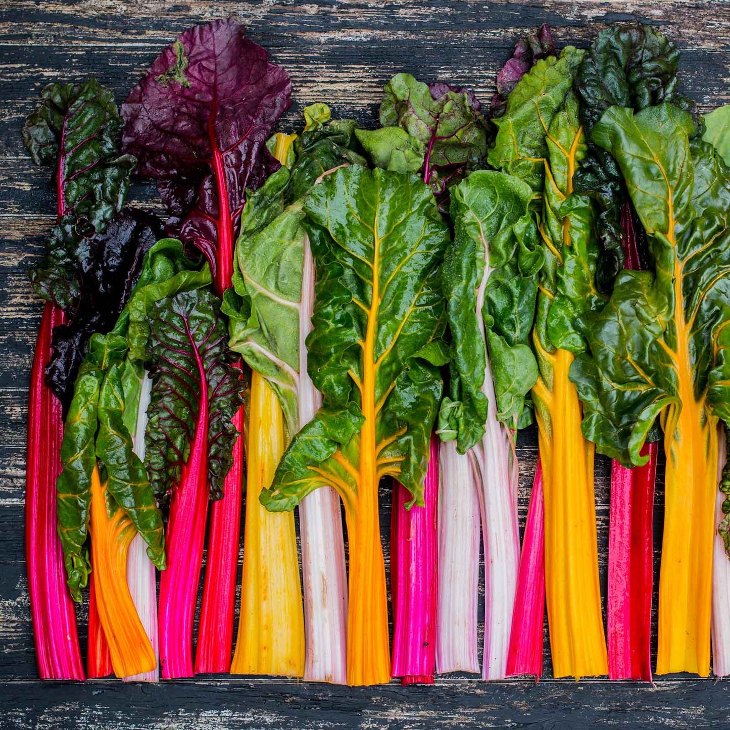 A mix of Rainbow Mix Swiss chard stalks with red, yellow, and white stems, and green leaves.