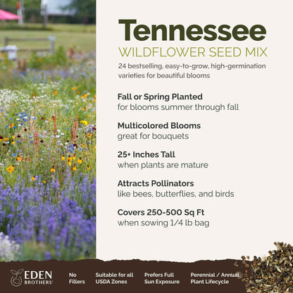 A visual overview of the wildflower seed mix, showcasing expected floral blooms.