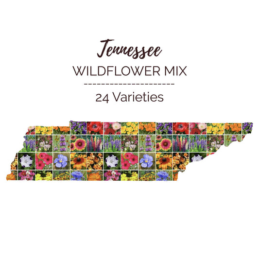 Graphic of the outline of the state for Tennessee Wildflower Seed Mix that contains images of the flowers in the mix