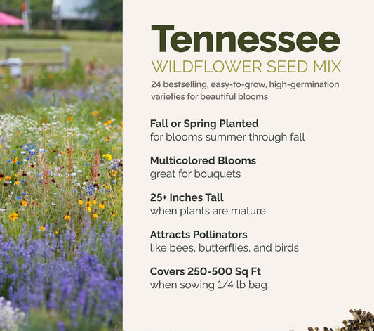 A visual overview of the wildflower seed mix, showcasing expected floral blooms.