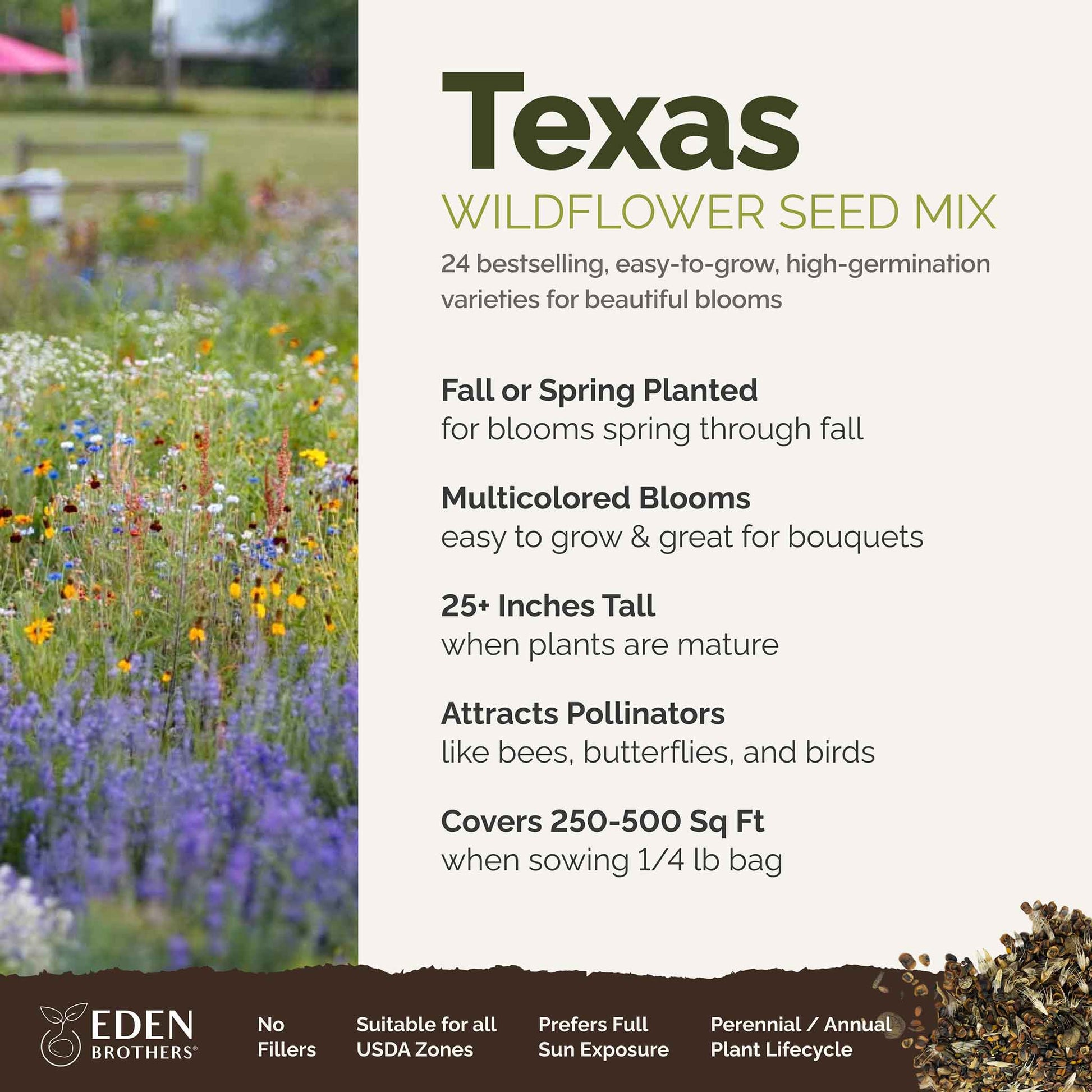 A visual overview of the wildflower seed mix, showcasing expected floral blooms.