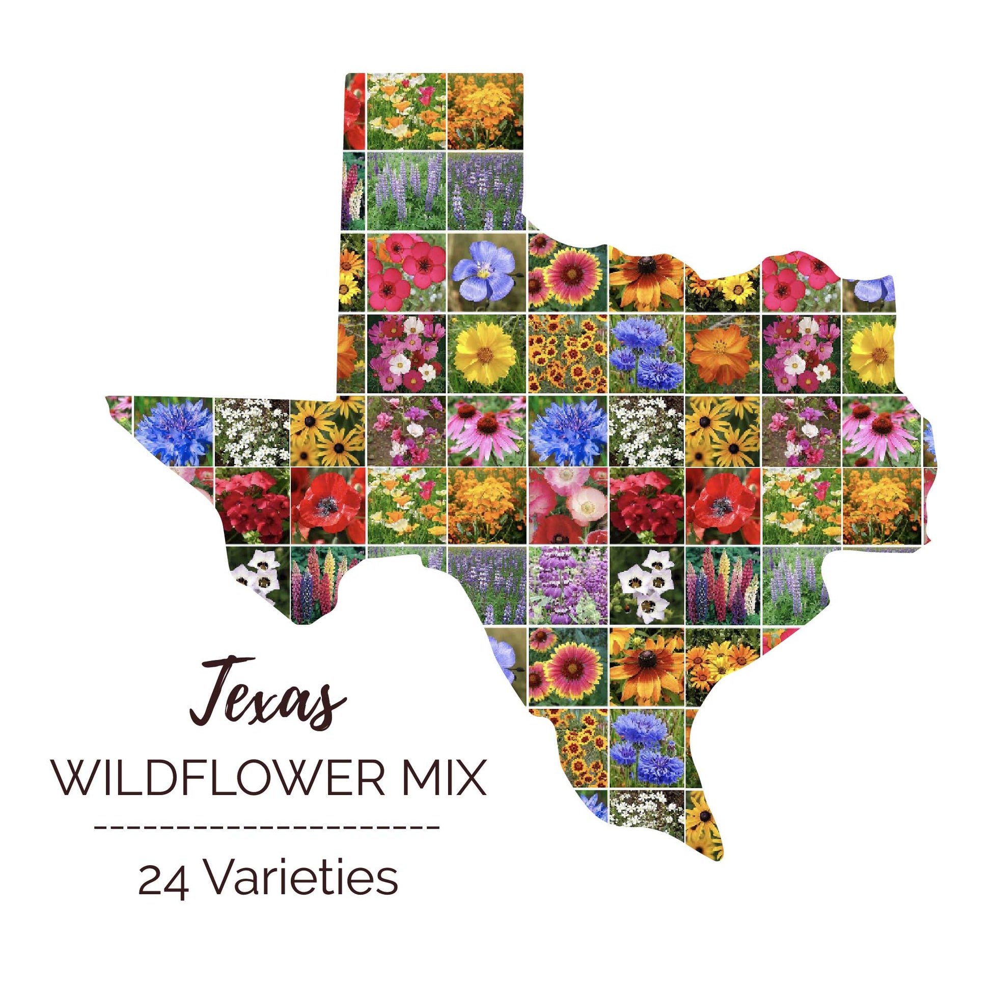 Graphic of the outline of the state for Texas Wildflower Seed Mix that contains images of the flowers in the mix