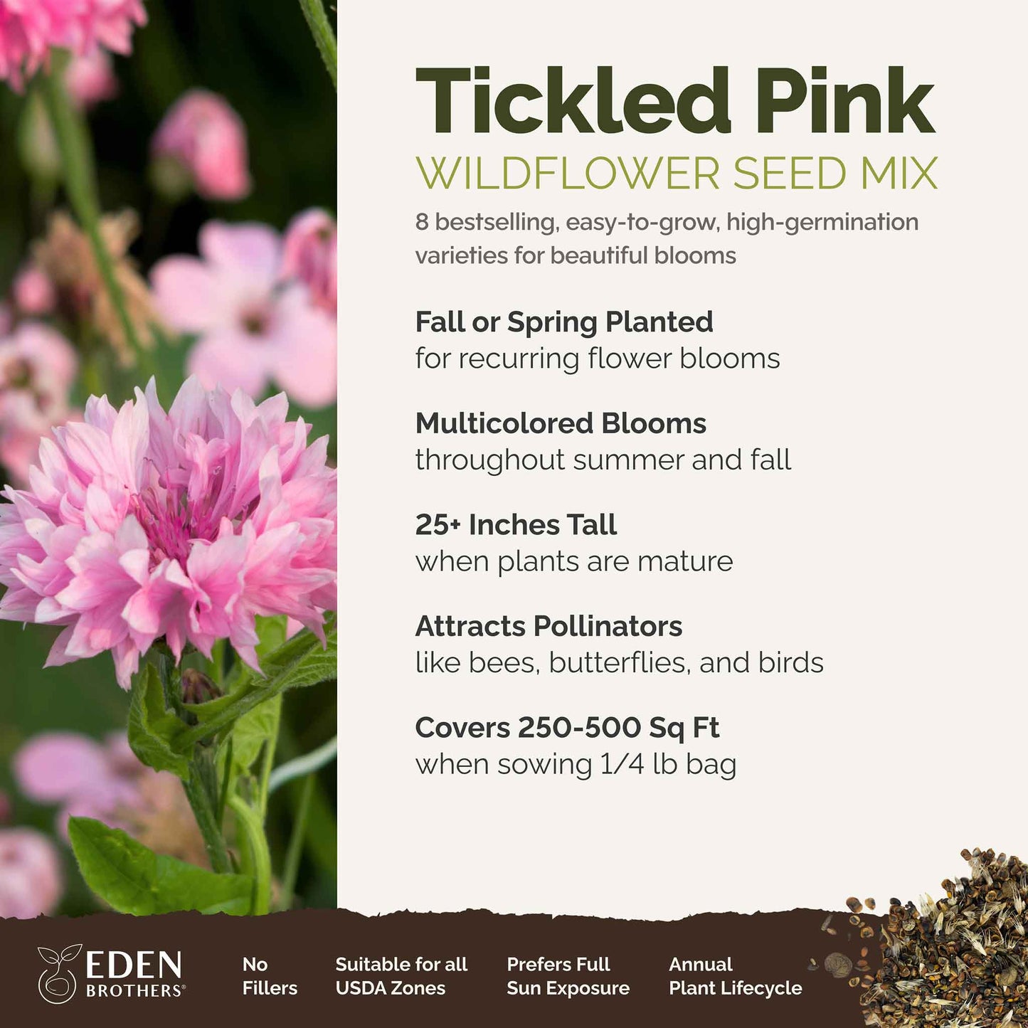A visual overview of the wildflower seed mix, showcasing expected floral blooms.