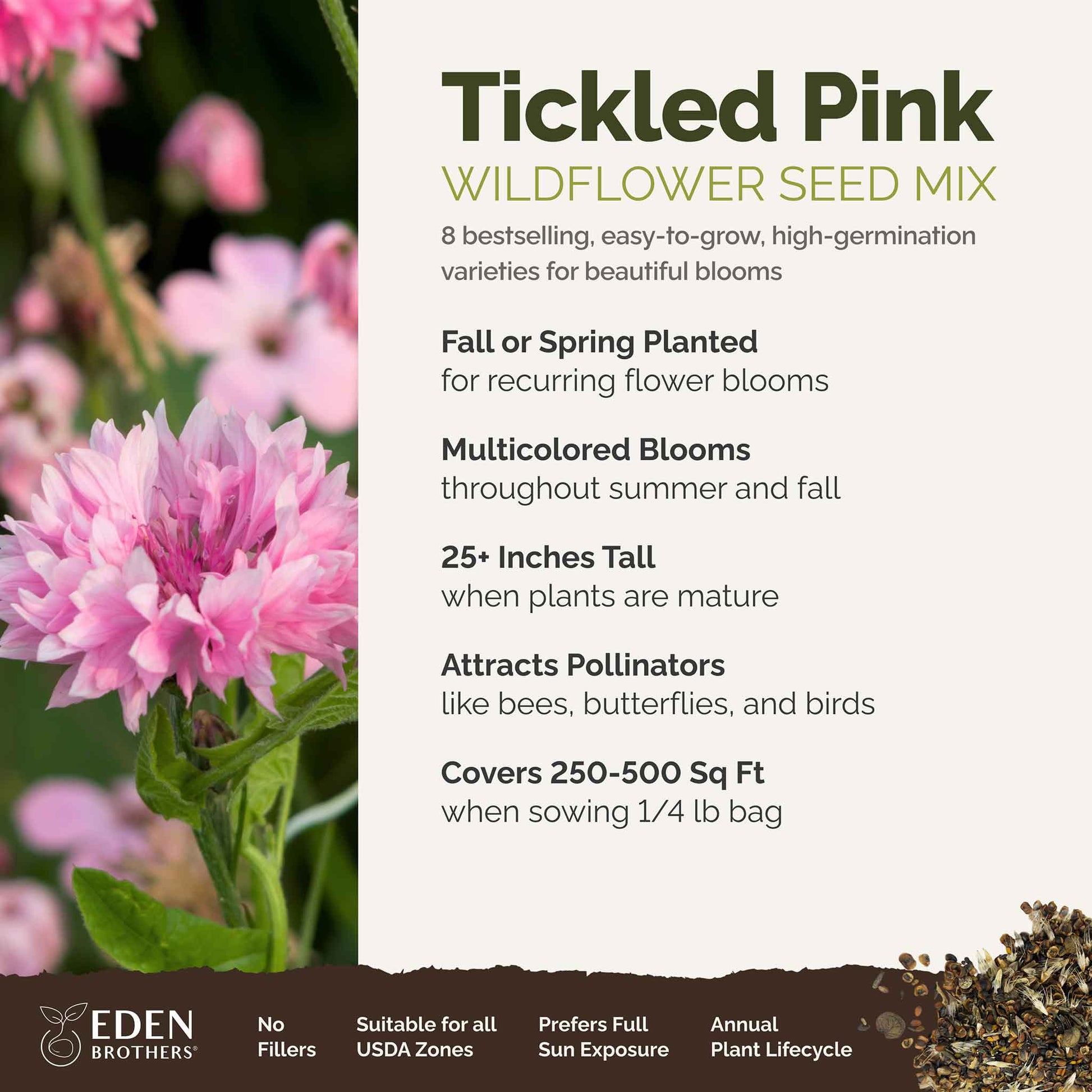 A visual overview of the wildflower seed mix, showcasing expected floral blooms.