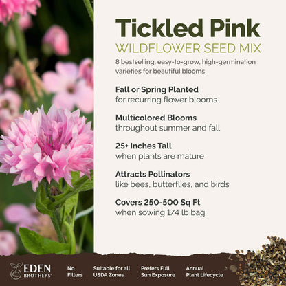 A visual overview of the wildflower seed mix, showcasing expected floral blooms.