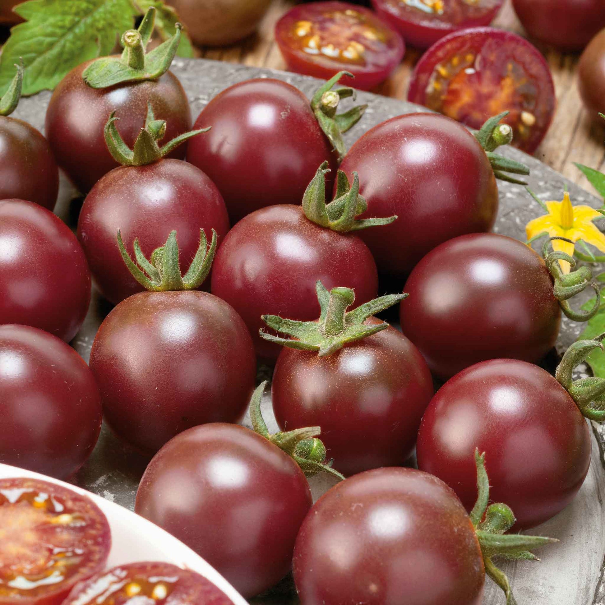 A close-up shot of several ripe black cherry tomatoes still attached to the vine.