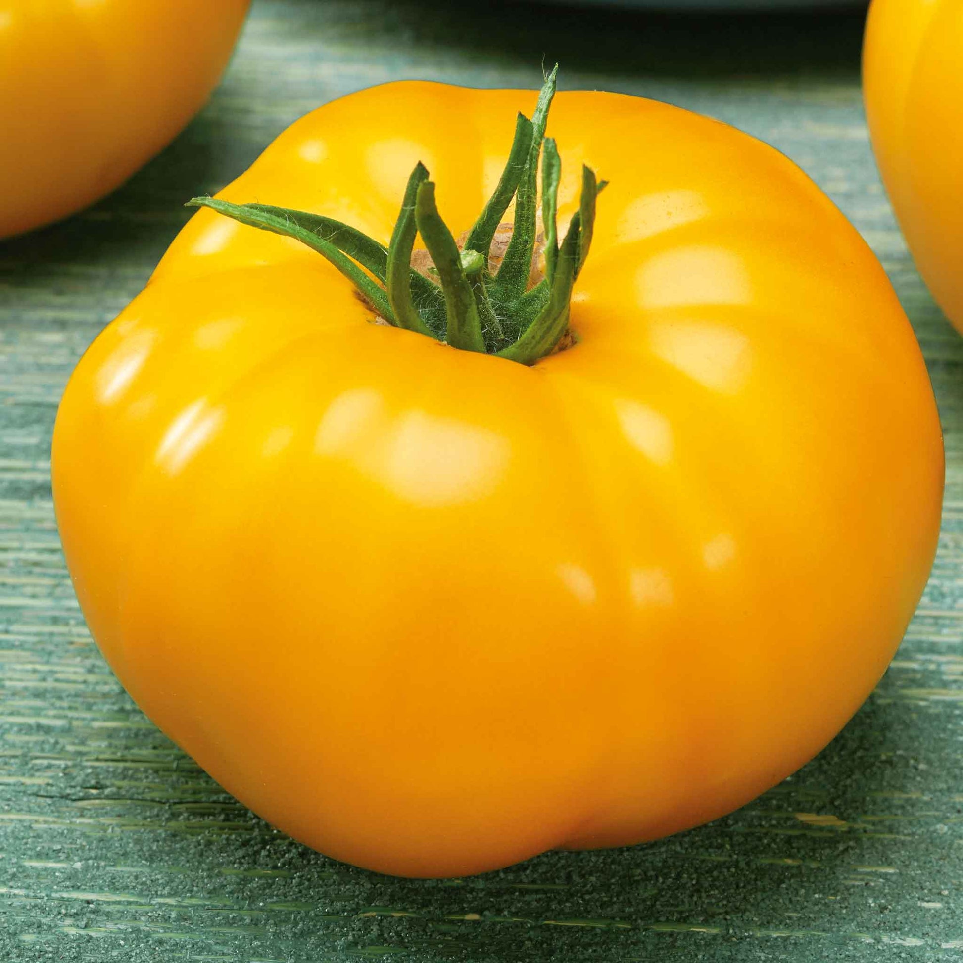 A Brandywine Yellow tomato with a green stem.