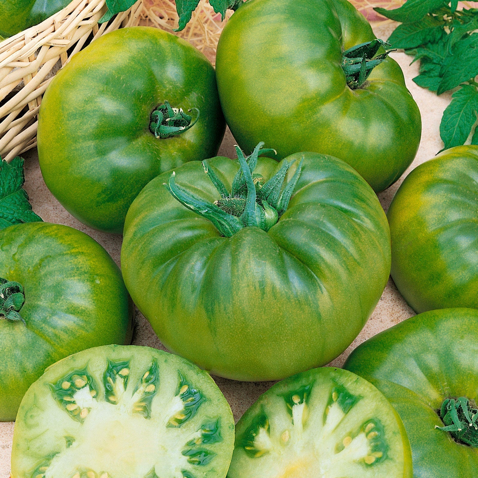 A Cherokee Green tomato with dark stripes, in a group with slices in the front.