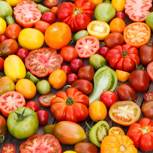 A vibrant mix of tomatoes in various colors, shapes, and sizes, showcasing their natural diversity.