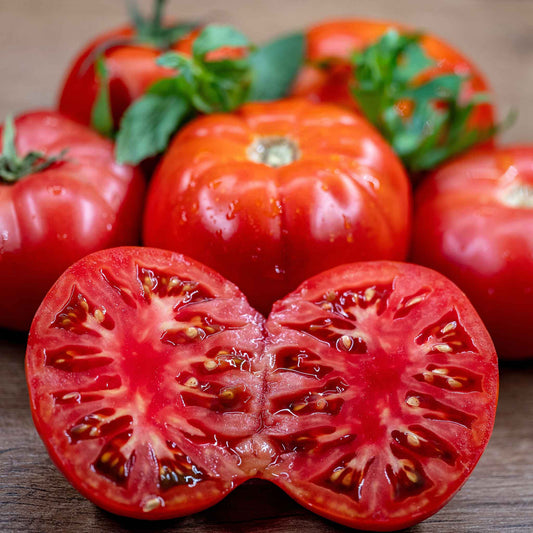 A ripe, red Cuostralee tomato with a blurred tomatoes in the background and a sliced tomato in the foreground.