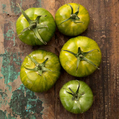 A cluster of green zebra tomatoes with distinctive yellow and green stripes. | copyright: Floramedia UK Ltd