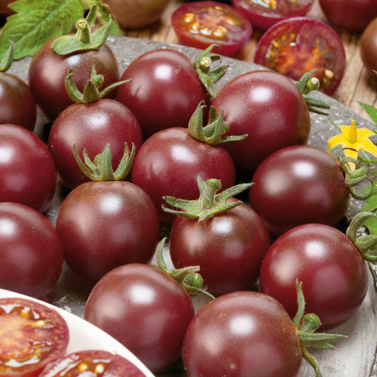 A close-up shot of several ripe black cherry tomatoes still attached to the vine.