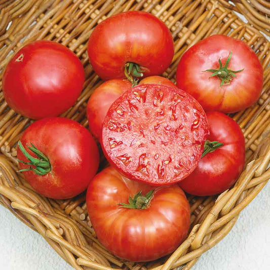 A group of ripe, large red Mortgage Lifter tomatoes with a green stem and one sliced on top.