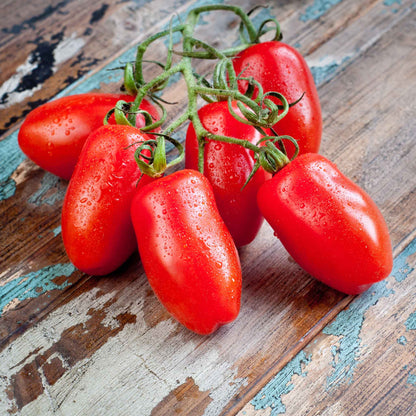 A cluster of red Roma tomato on the vine, with a wooden background.